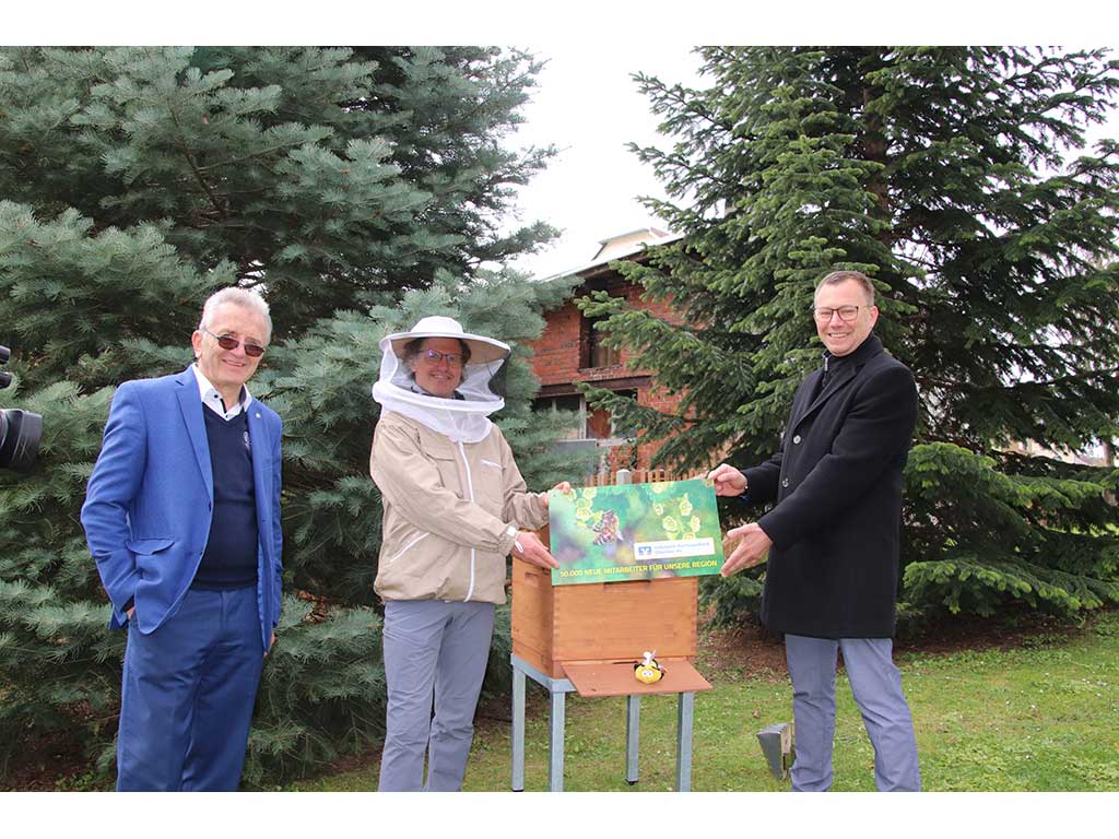 „Don´t worry, Bee happy.“ -  50.000 Bienen bereichern das Glauchauer Stadtgebiet