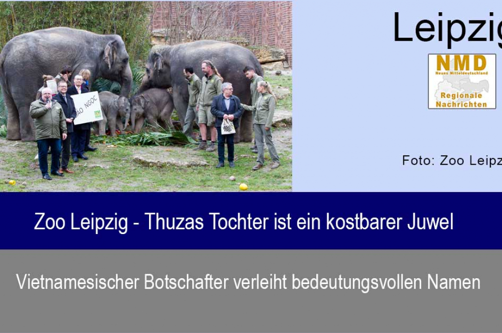 Zoo Leipzig - Thuzas Tochter ist ein kostbarer Juwel 