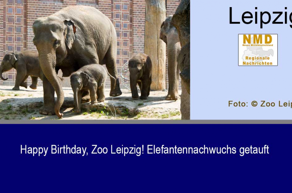 Happy Birthday, Zoo Leipzig! Elefantennachwuchs getauft
